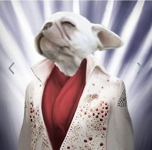 Meet your Posher, James